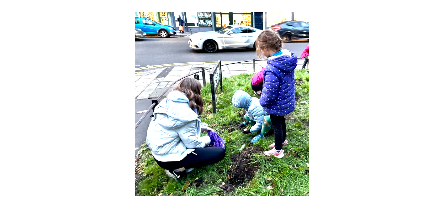 Bulb planting